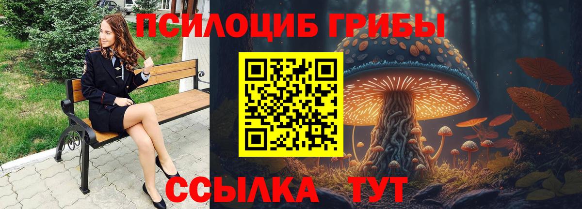 Псилоцибиновые грибы ЛСД Волхов
